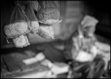 dailyPhoto9